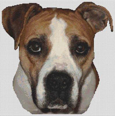 (image for) American Bulldog 2